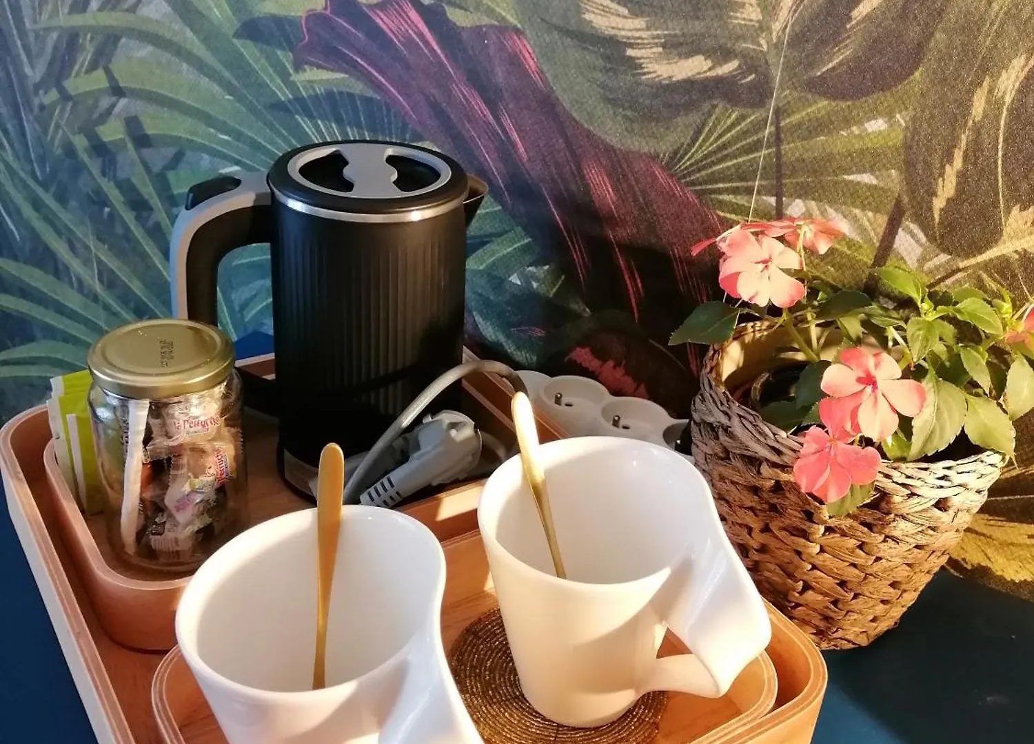 Séjour chez l'habitant Chambre Chez L Habitant Avec Petit Dejeuner Moussy-le-Vieux France